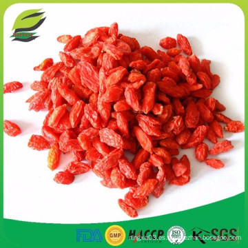 Beneficios de la baya goji china para adelgazar